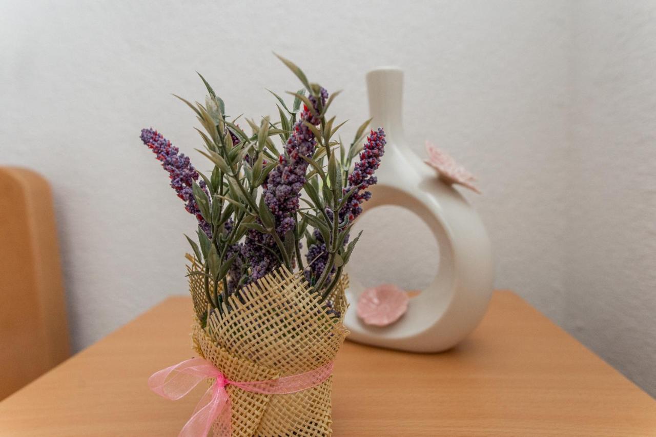 Villa Verbena Mala Cista エクステリア 写真